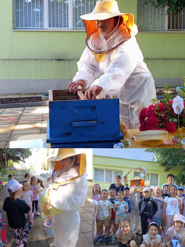 Приятел на пчелите